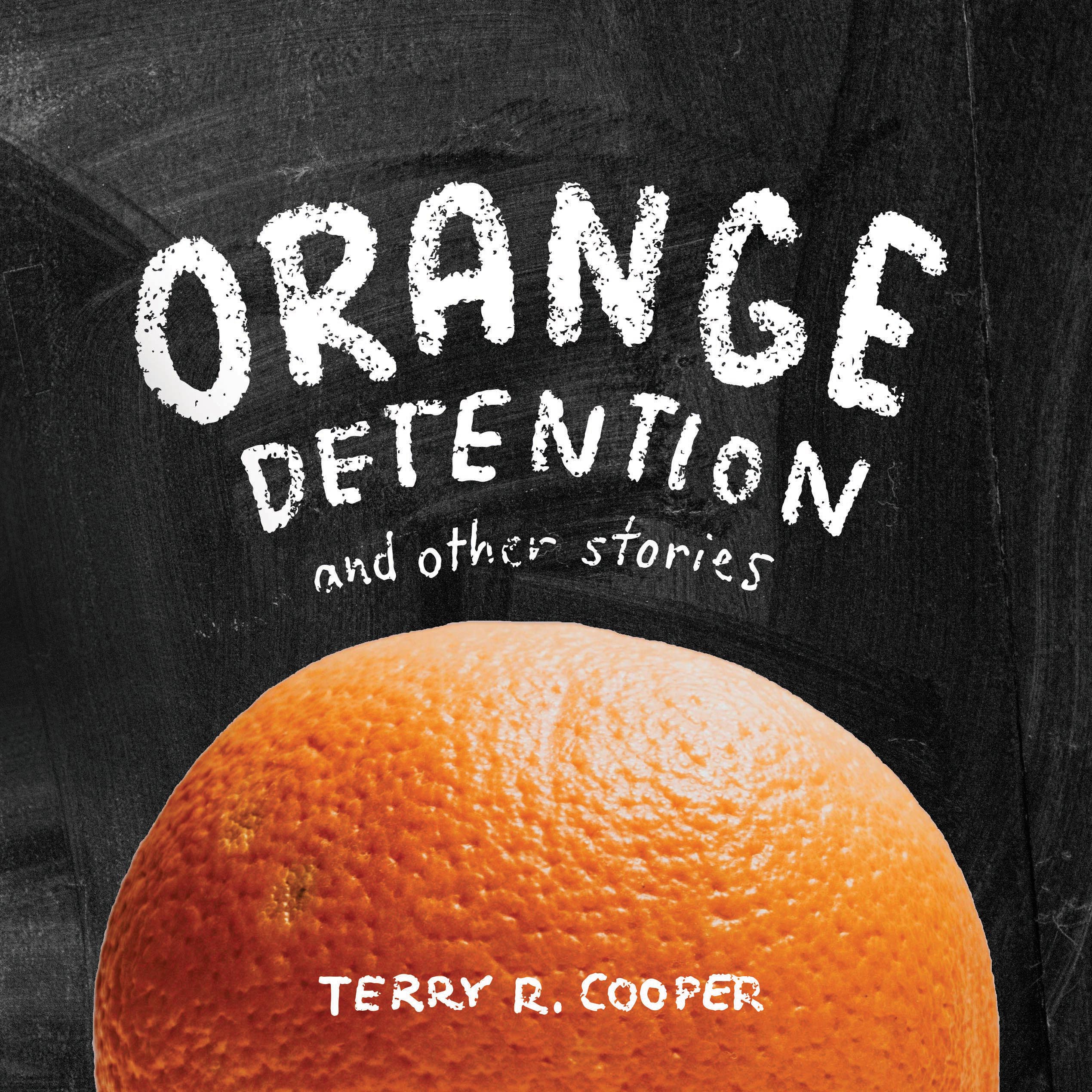 Orange Detention Cover