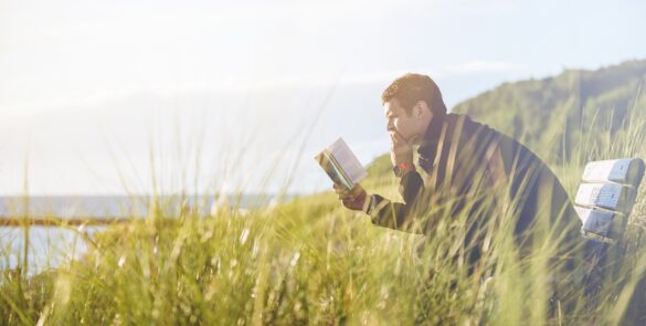 man, bench, grass-1853961.jpg